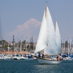 Santa Teresa under sail in San Diego